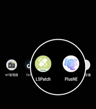 国内如何访问TikTok,绕过地区限制使用TikTok的方法!